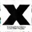 X (formerly Twitter)